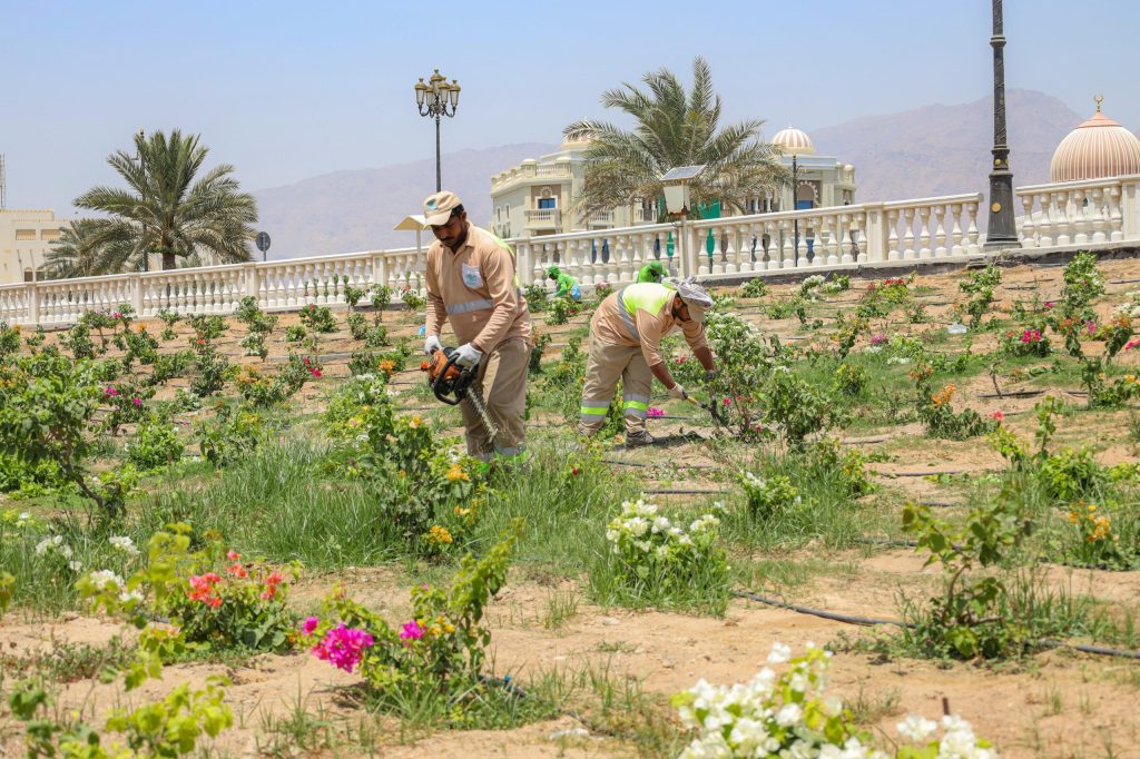 بلدية دبا الحصن تقدم 6 آلاف خدمة للسكان خلال 4 أشهر من 2025