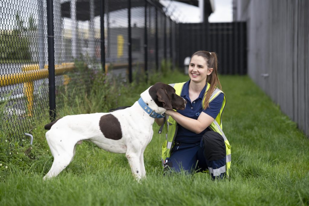 Advanced animal handling center: dnata to open one in Amsterdam