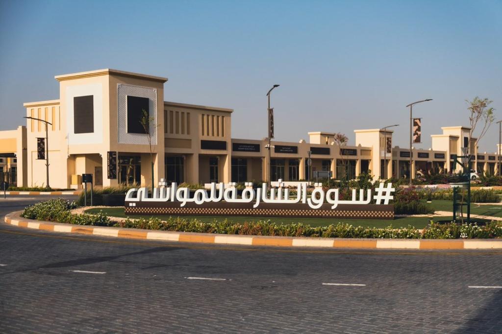 عيد الأضحى 2025: "سوق الشارقة للمواشي" يستكمل استعداداته لاستقبال زواره في بخطة عمل متكاملة